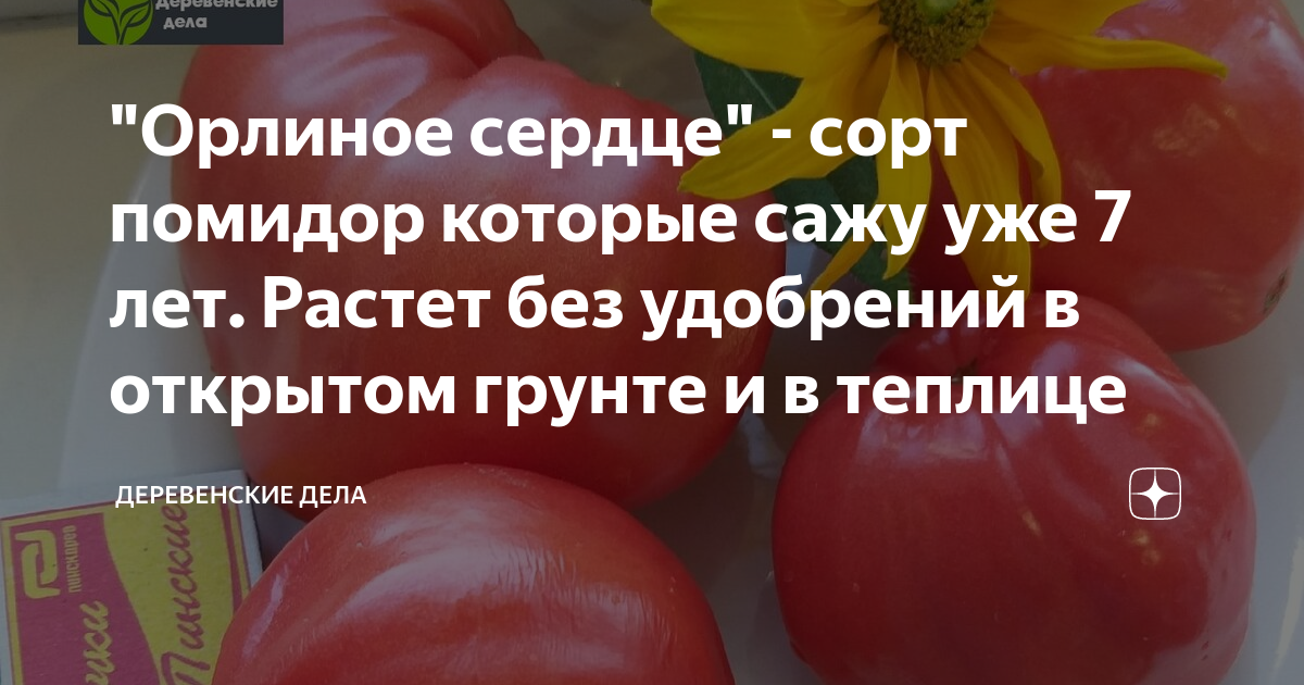 "Орлиное сердце" - сорт помидор которые сажу уже 7 лет. Растет без ...