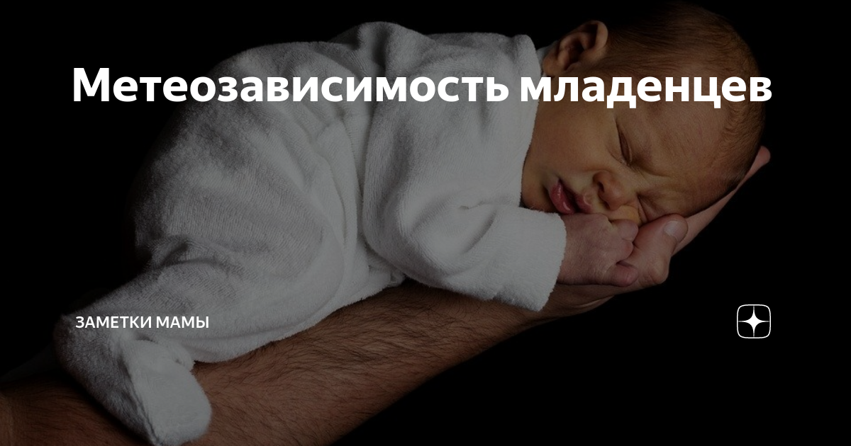 буддийский монах. ребенок читать на дзен. ребенок читать на дзен. китайский монах шаолинь учитель. ребенок читать на дзен.