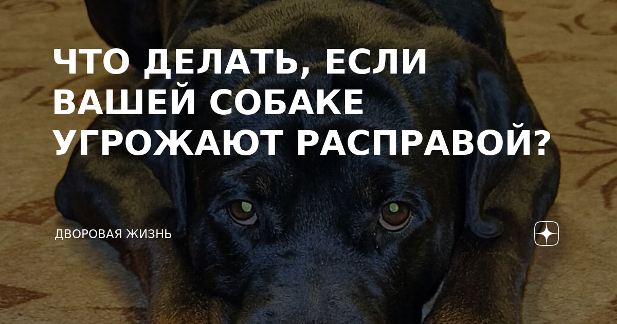 Что делать, если вам угрожают словесно | Адвокат в Запорожье Черкашин И.И.