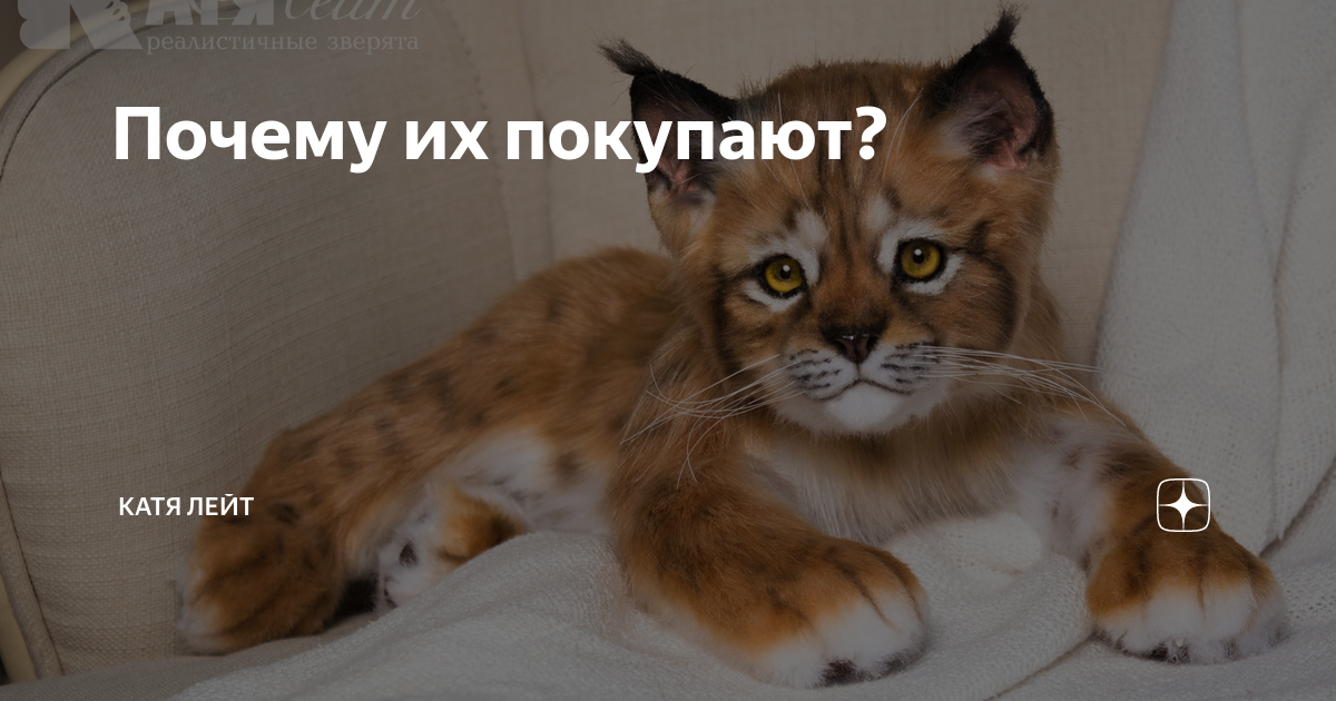 Почему их покупают? | Катя Лейт | Дзен