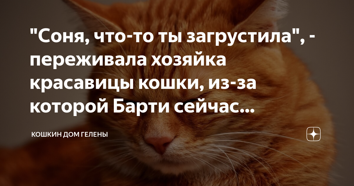 Гифка из за которой вылетает дискорд