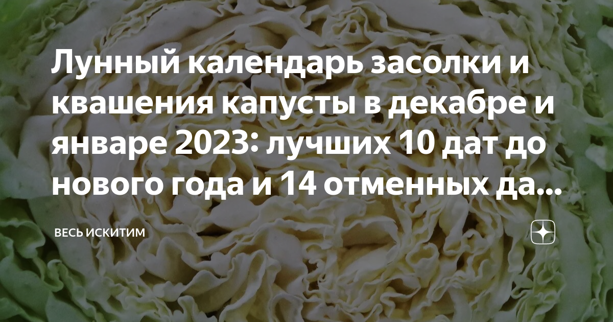Засолка капусты на зиму лунный календарь 2024