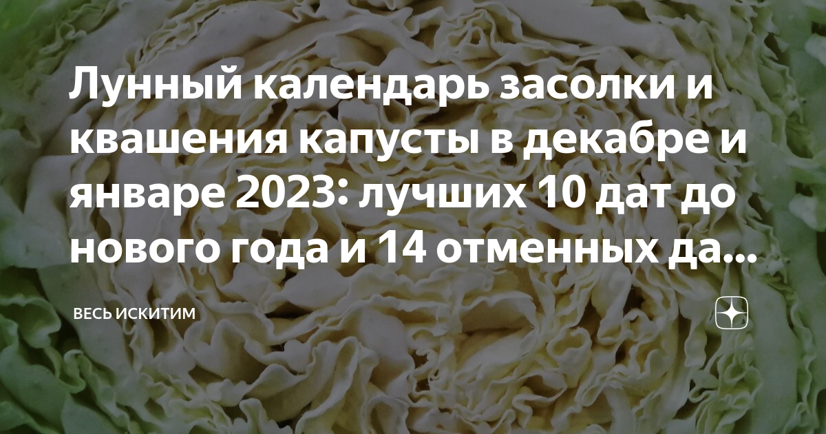 Лунный календарь солить капусту февраль 2024