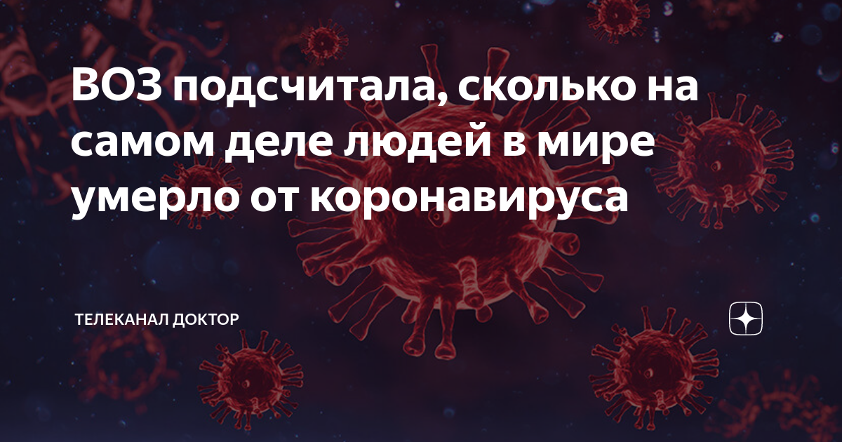 ВОЗ подсчитала, сколько на самом деле людей в мире умерло от