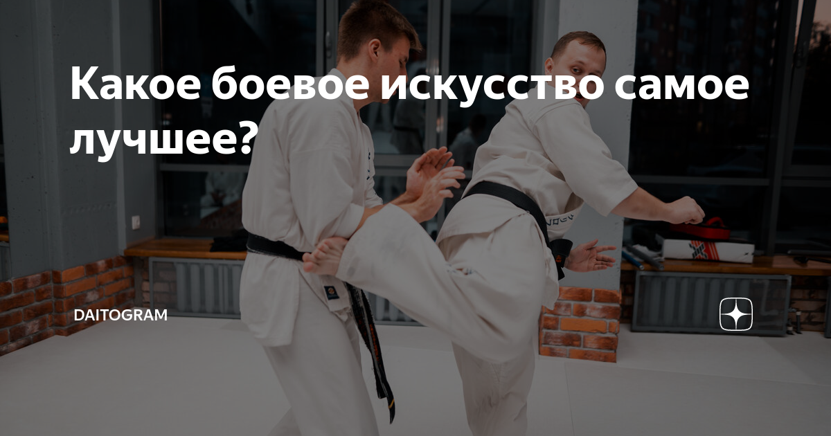 Какое боевое искусство самое лучшее? | DAITOGRAM | Дзен
