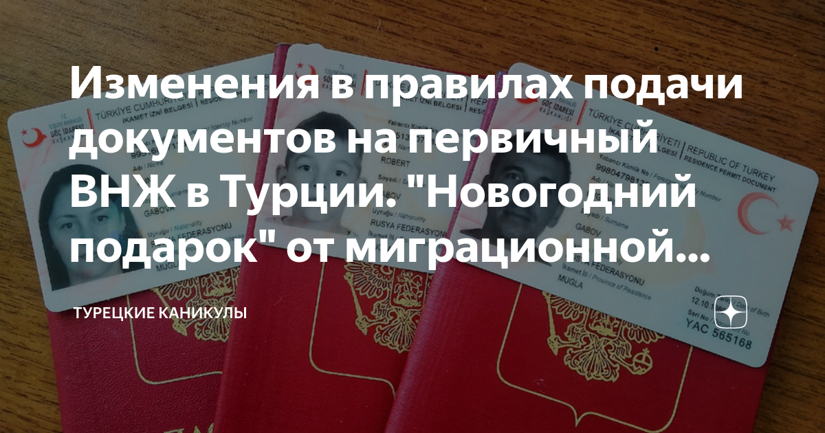 туристический внж в турции как получить