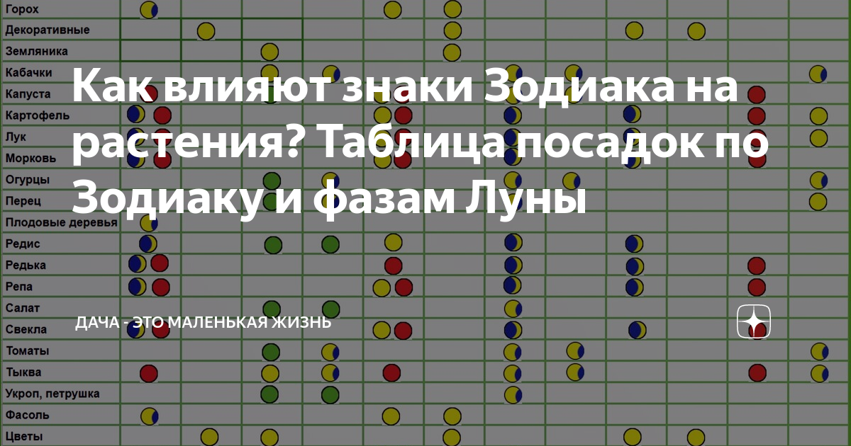 Плодородные знаки зодиака по лунному календарю 2024