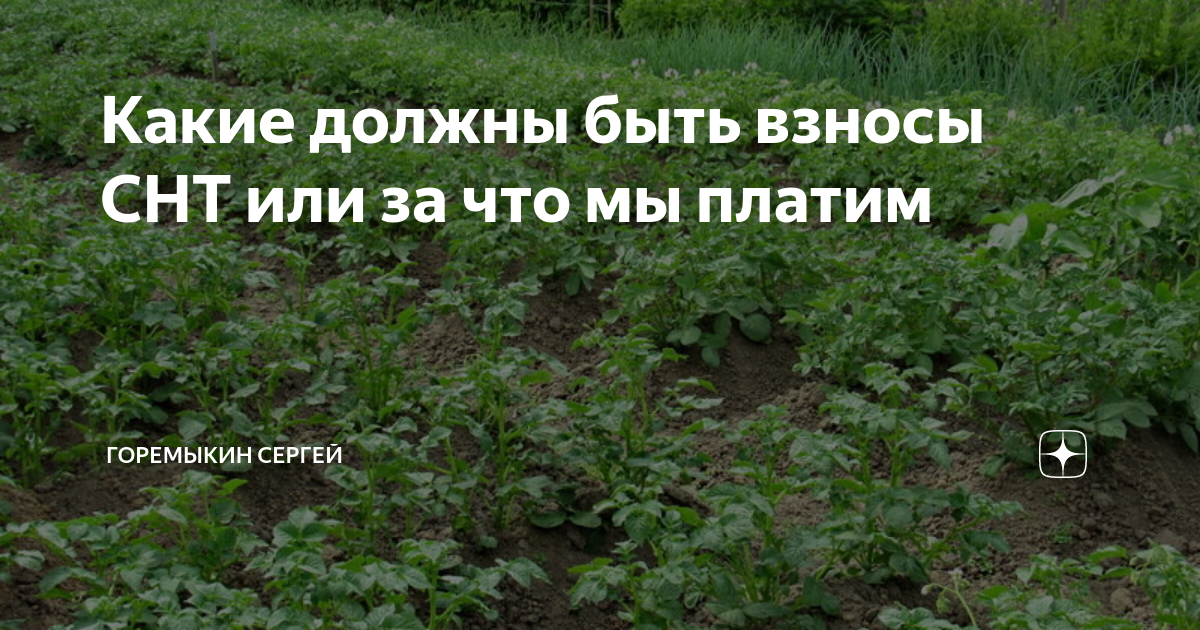 Взносы в снт в 2024 году. Взносы в СНТ В 2019 году максимальная сумма. Взносы в СНТ В 2019 году по новому закону о садоводах. Заплати взносы в СНТ. Может оплатим взносы в СНТ.