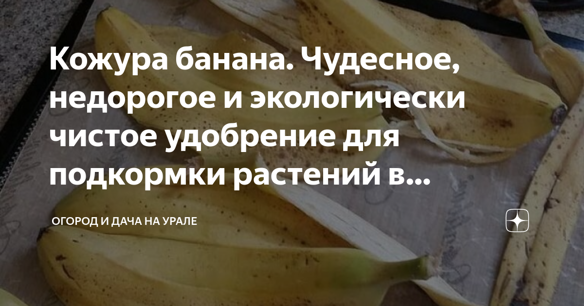 Банановая кожура для растений: как сделать удобрение - рецепты