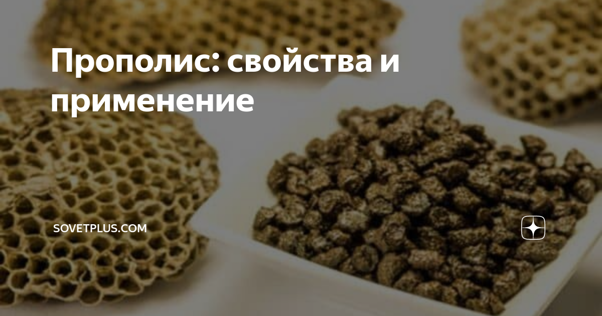 Прополис пчелиный что это и для чего. Прополис. Прополис пчелиный жевать. Стружка прополиса. Прополис жевать.