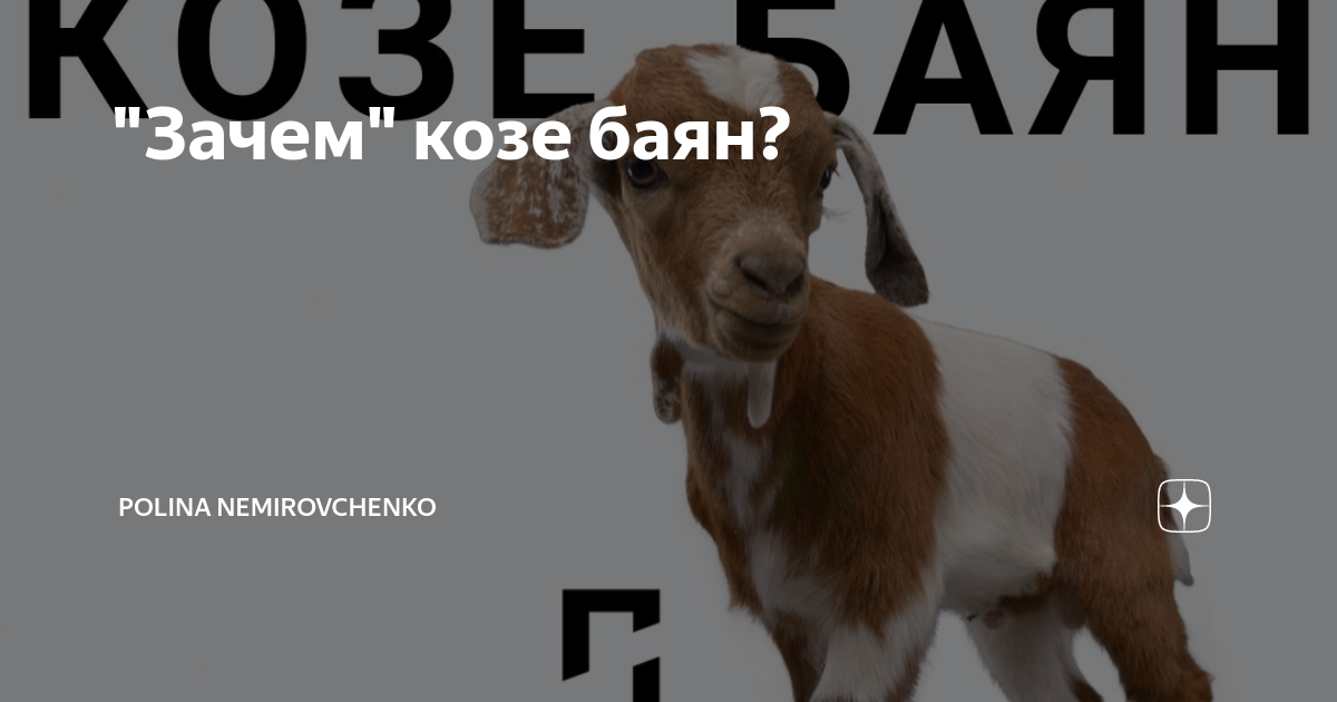 Нафига козе баян. Коза с баяном. Нафига козе баян. Коза с баяном картинки. Коза с баяном.