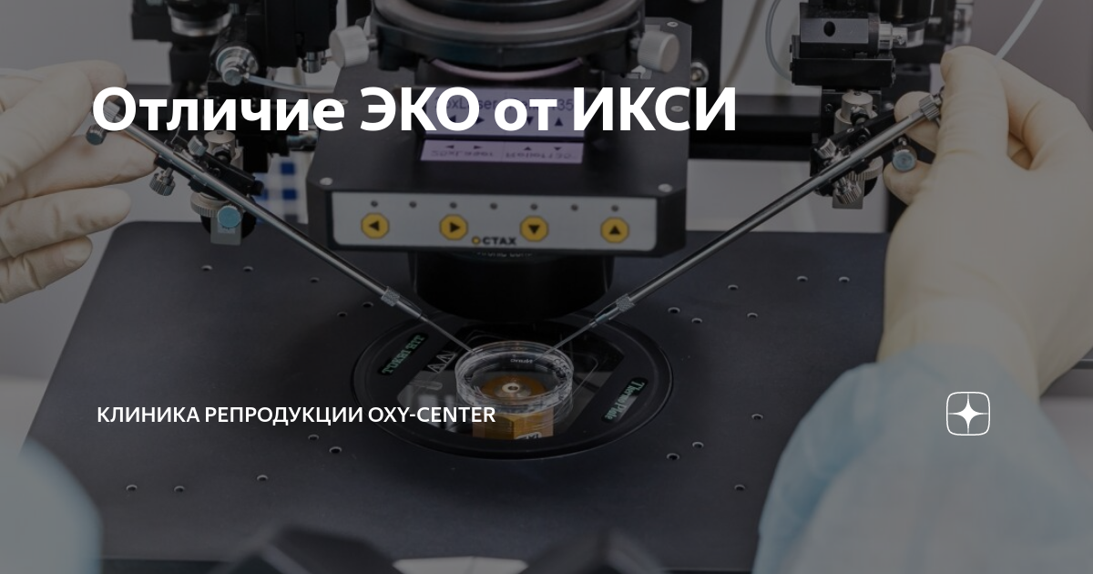 Отличие эко от эко. Отличие эко от эко