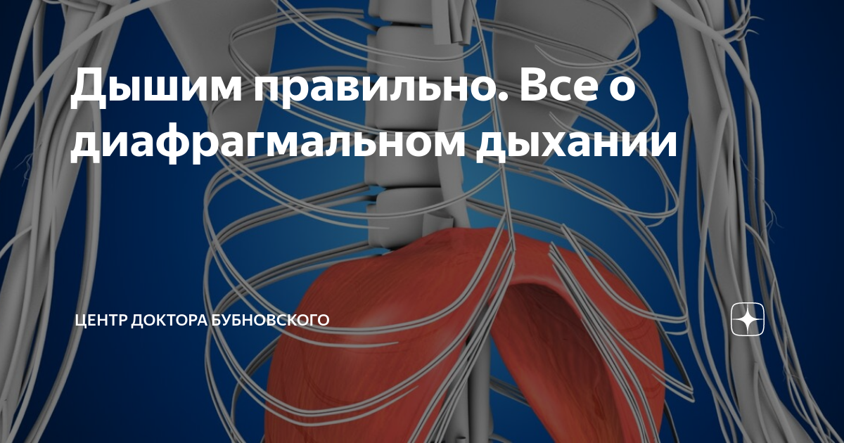 Дышим правильно. Все о диафрагмальном дыхании | Центр доктора ...