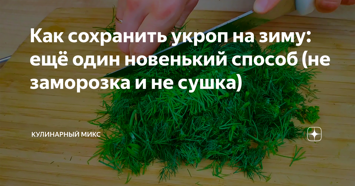 Как обрезать укроп чтобы дальше рос. Как срезать укроп. укроп срезанный. как правильно срезать укроп чтобы он рос дальше. укроп на зиму как срезать.