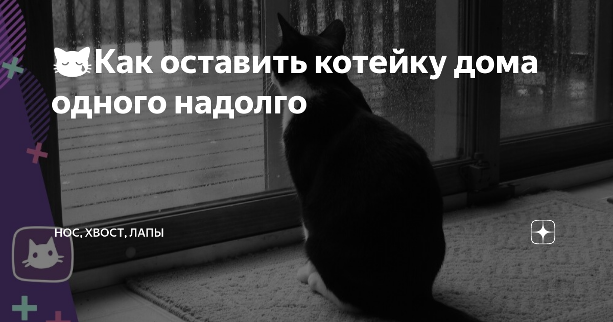 На подольше хватило. Я буду скучать. Одинокий кот. Грусть печаль тоска. Грустно и одиноко.