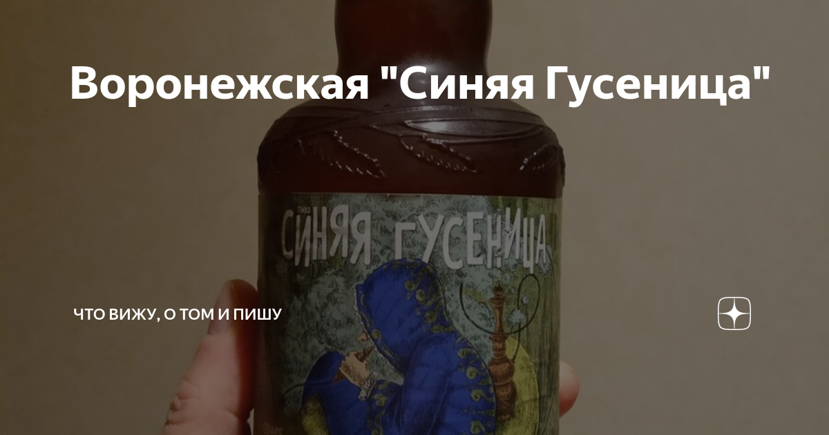 Воронежская "Синяя Гусеница" | С поварёшкою и пивом путешествую по миру ...