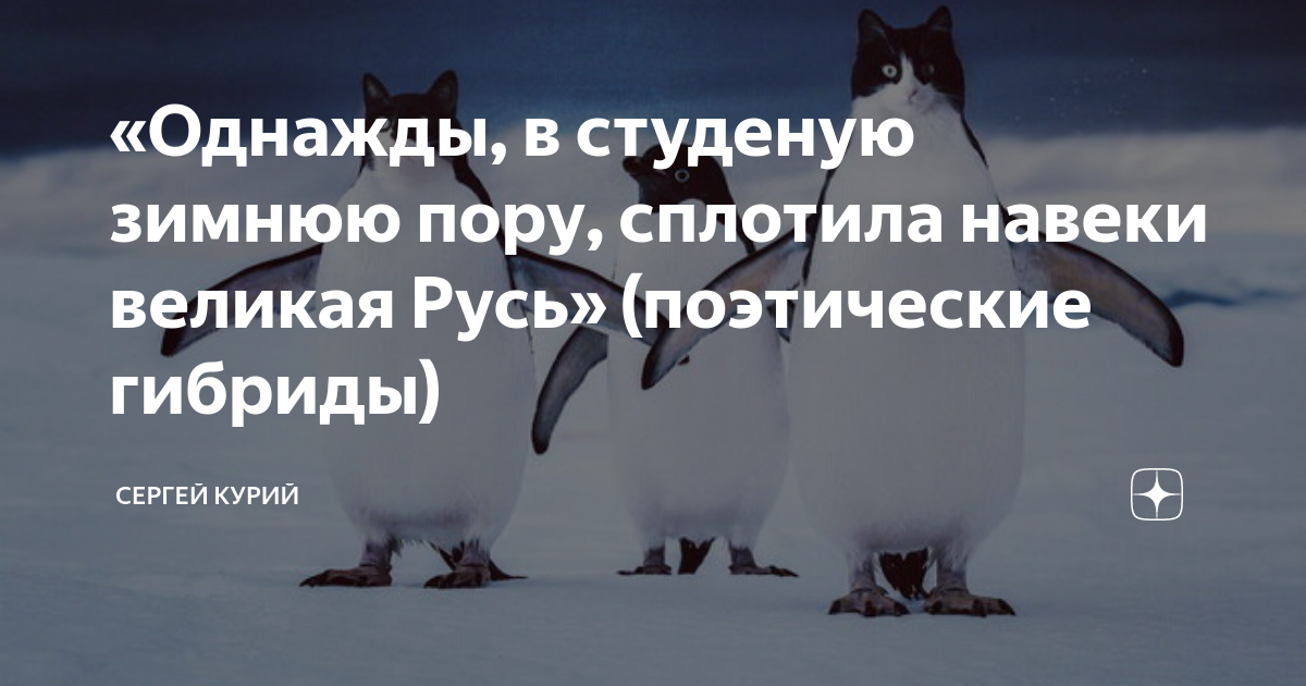 Однажды в Студёную зимнюю пору. Однажды в студеную зимнюю пору лошадка. Однажды в Студёную зимнюю пору лошадка примерзла к забору. Однажды в Студёную зимнюю пору шутка.