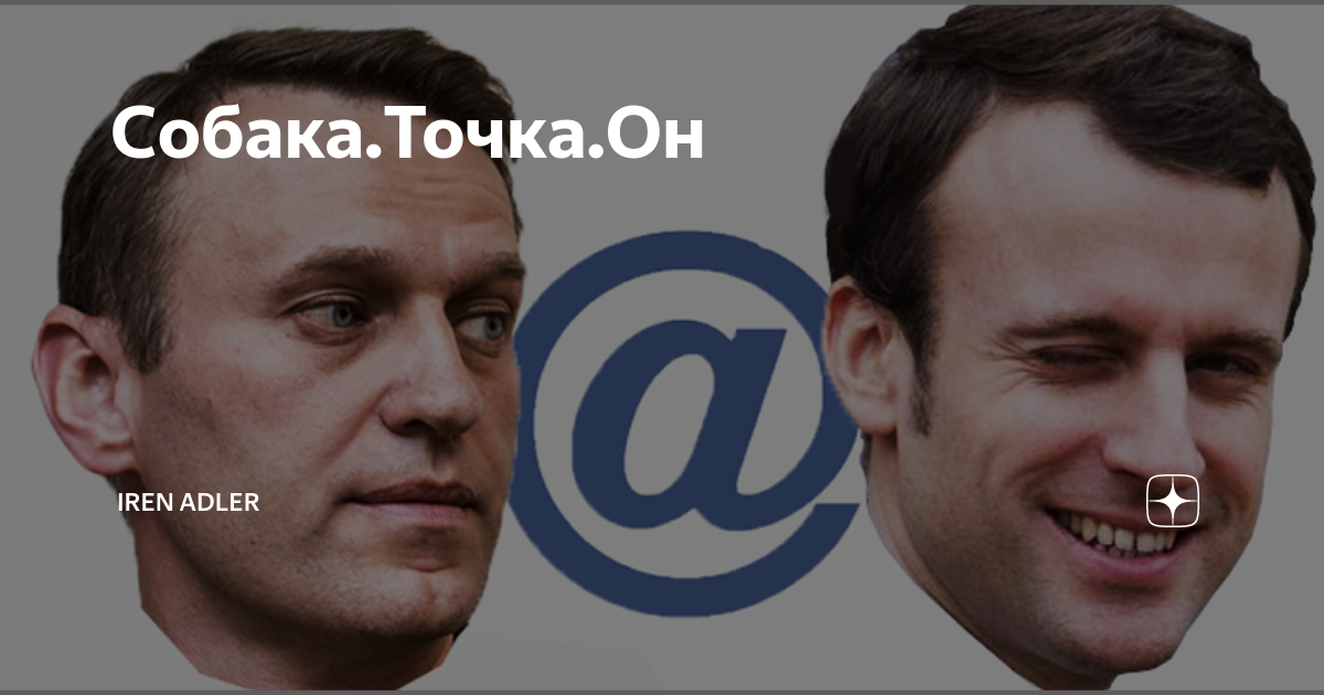 Adler дзен канал. Adler дзен канал. Adler дзен навигация. Adler дзен канал. Адлер яндекс дзен читать.