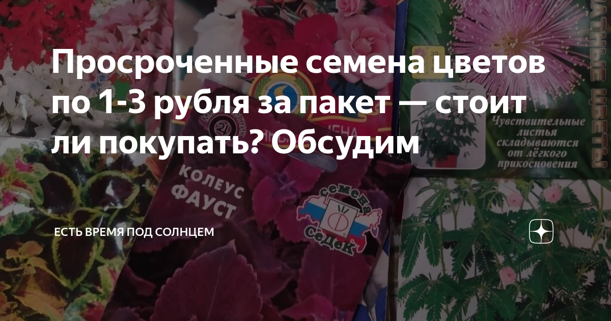 Просроченные семена цветов по 1-3 рубля за пакет — стоит ли покупать ...