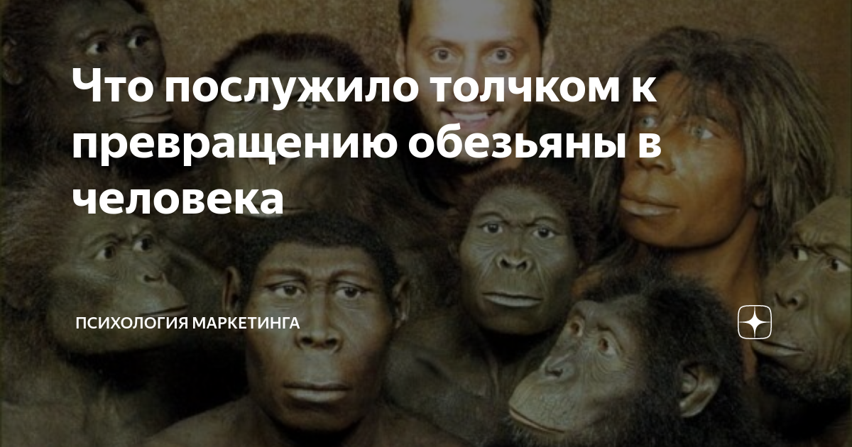 человек превращается в обезьяну