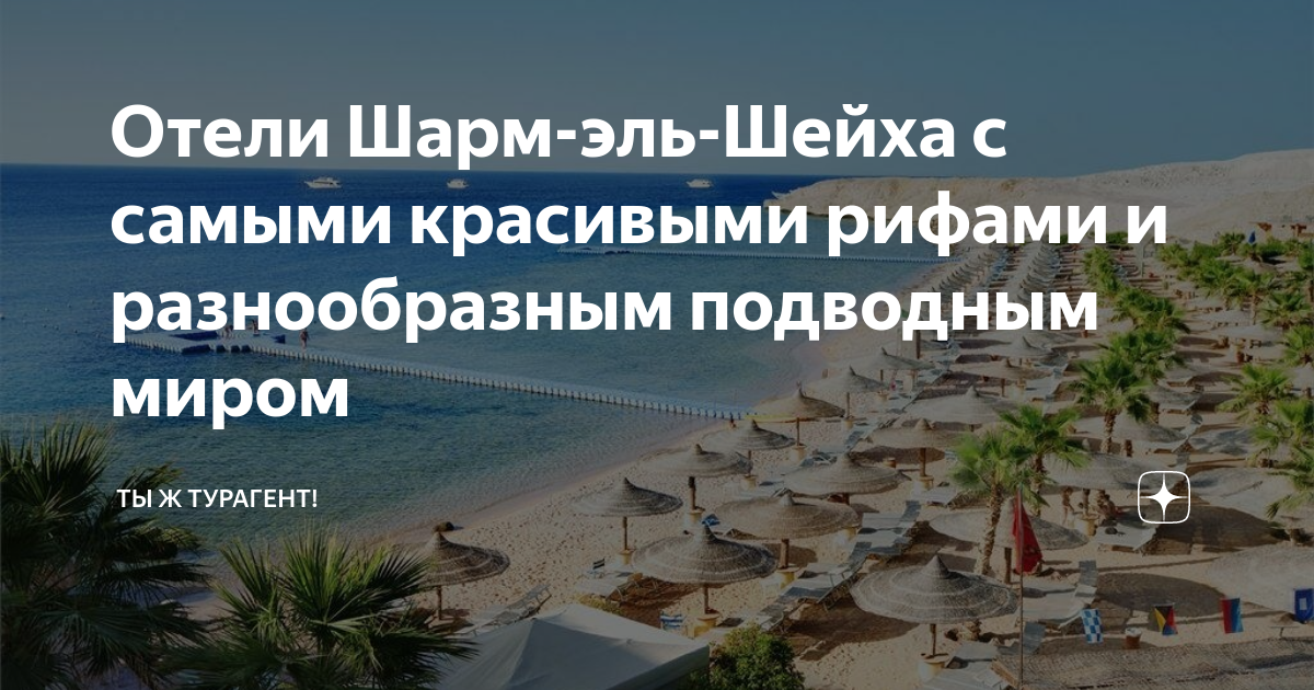 Отели Шарм-эль-Шейха с самыми красивыми рифами и разнообразным ...