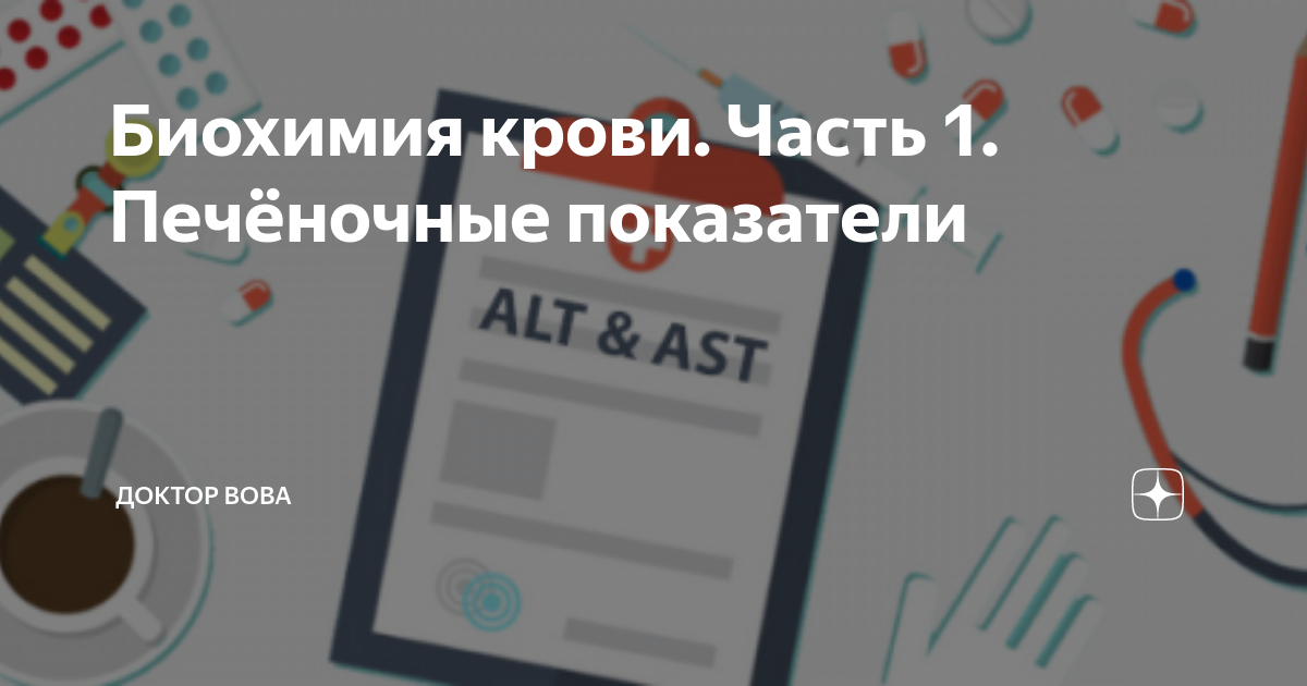 АСТ и АЛТ повышены в анализе крови: что это значит, как снизить