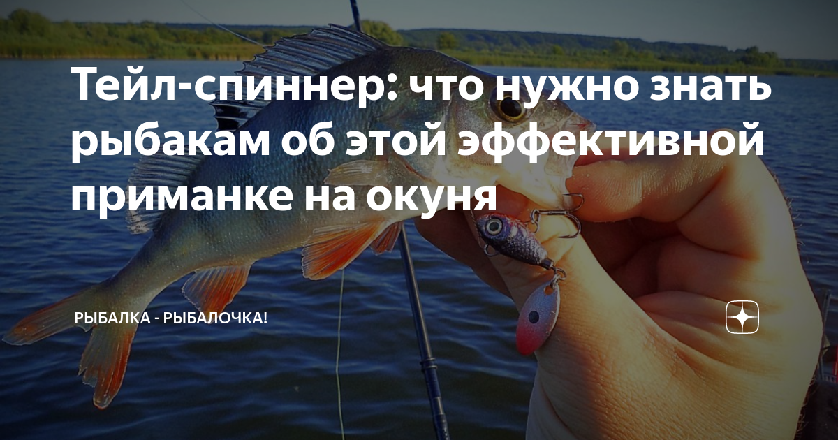 Тейл-спиннер: что нужно знать рыбакам об этой эффективной приманке на ...