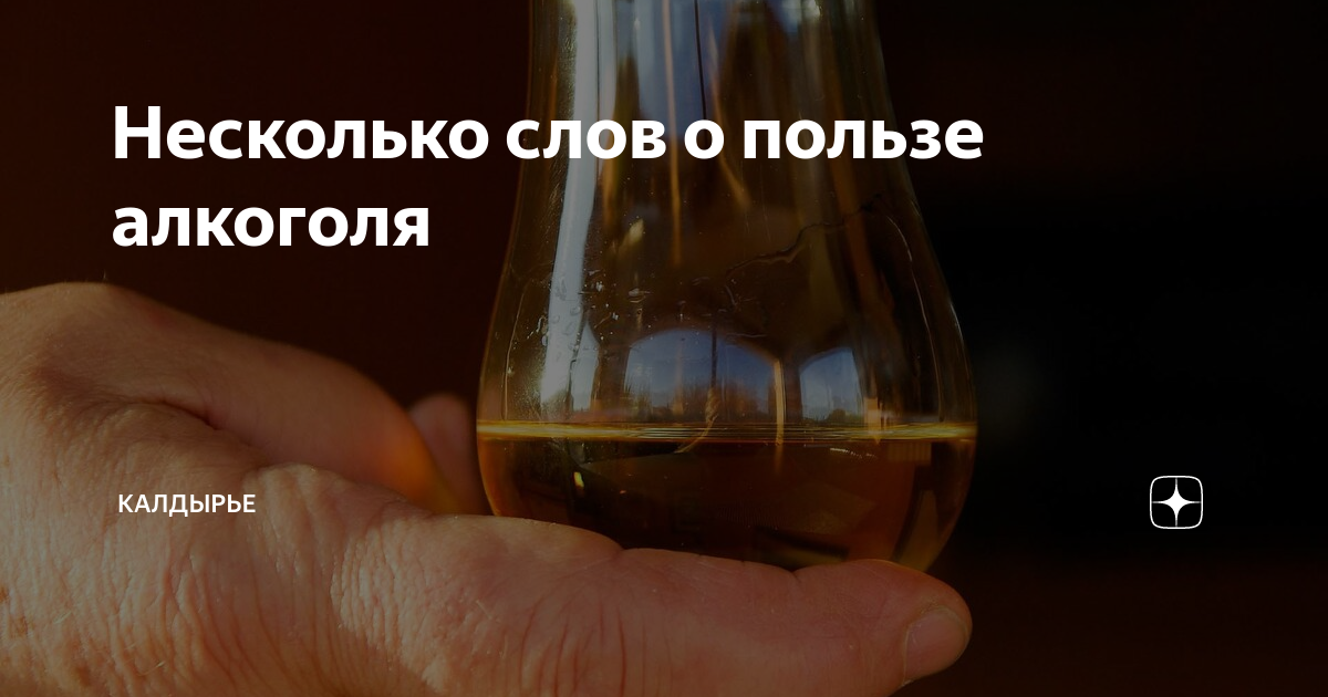 Несколько слов о пользе алкоголя | Калдырье | Дзен