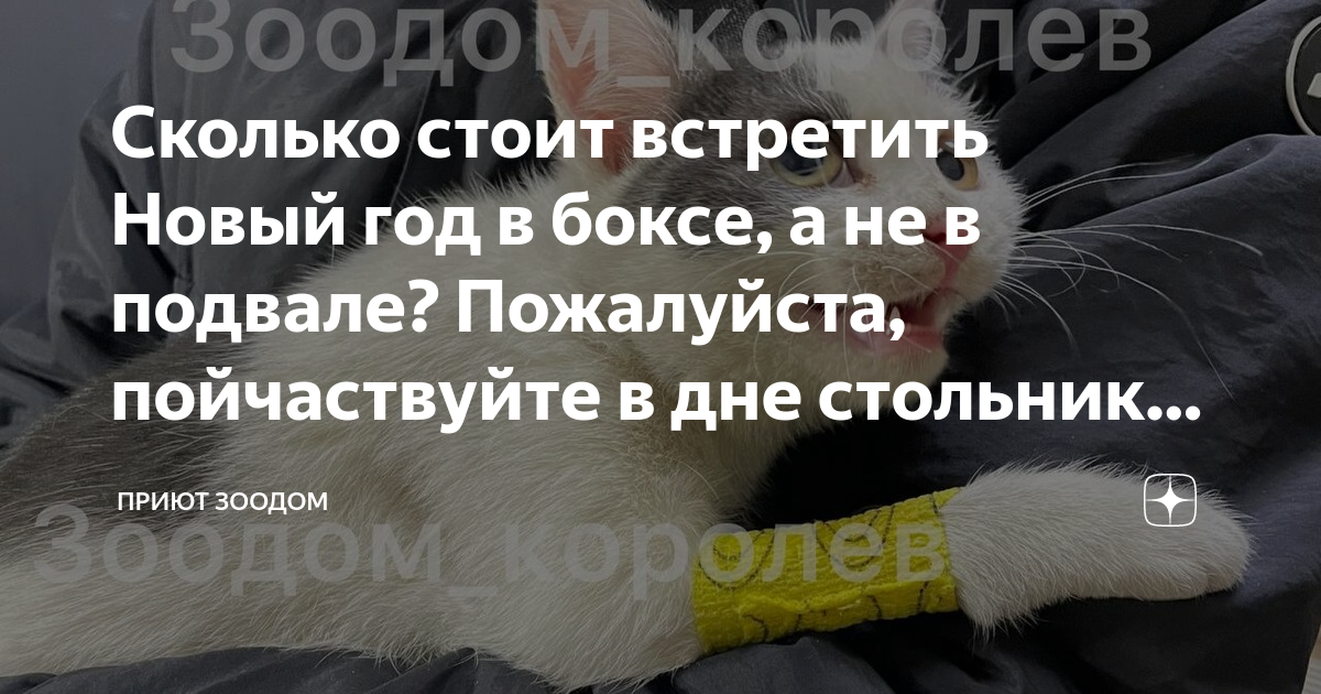 Сколько стоит встретить Новый год в боксе, а не в подвале? Пожалуйста ...