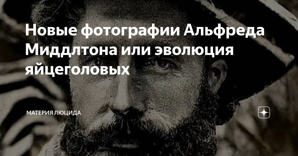 Новые фотографии Альфреда Миддлтона или эволюция яйцеголовых | Материя ...