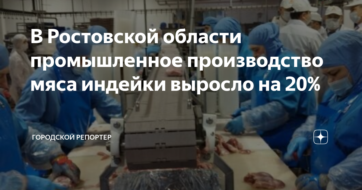 В Ростовской области промышленное производство мяса индейки выросло на ...