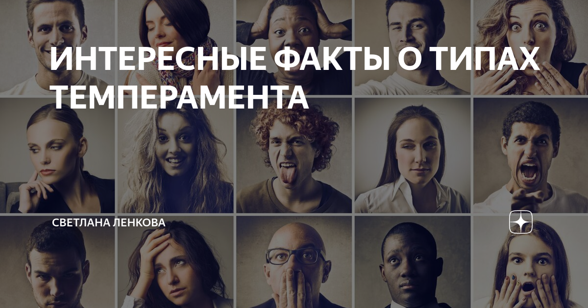 ИНТЕРЕСНЫЕ ФАКТЫ О ТИПАХ ТЕМПЕРАМЕНТА | PRO Самореализацию | Дзен