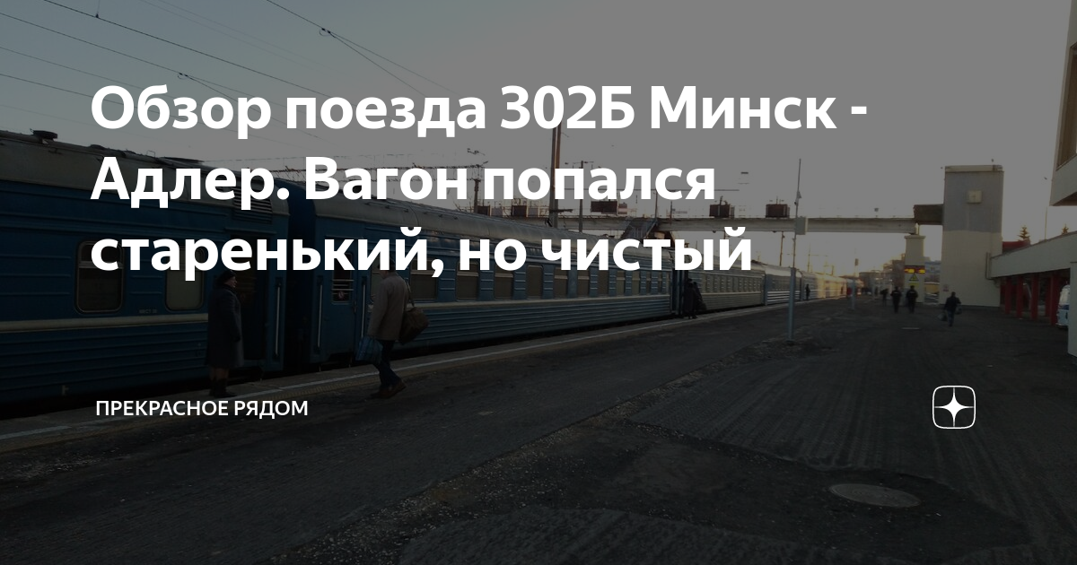 поезд минск адлер 302б