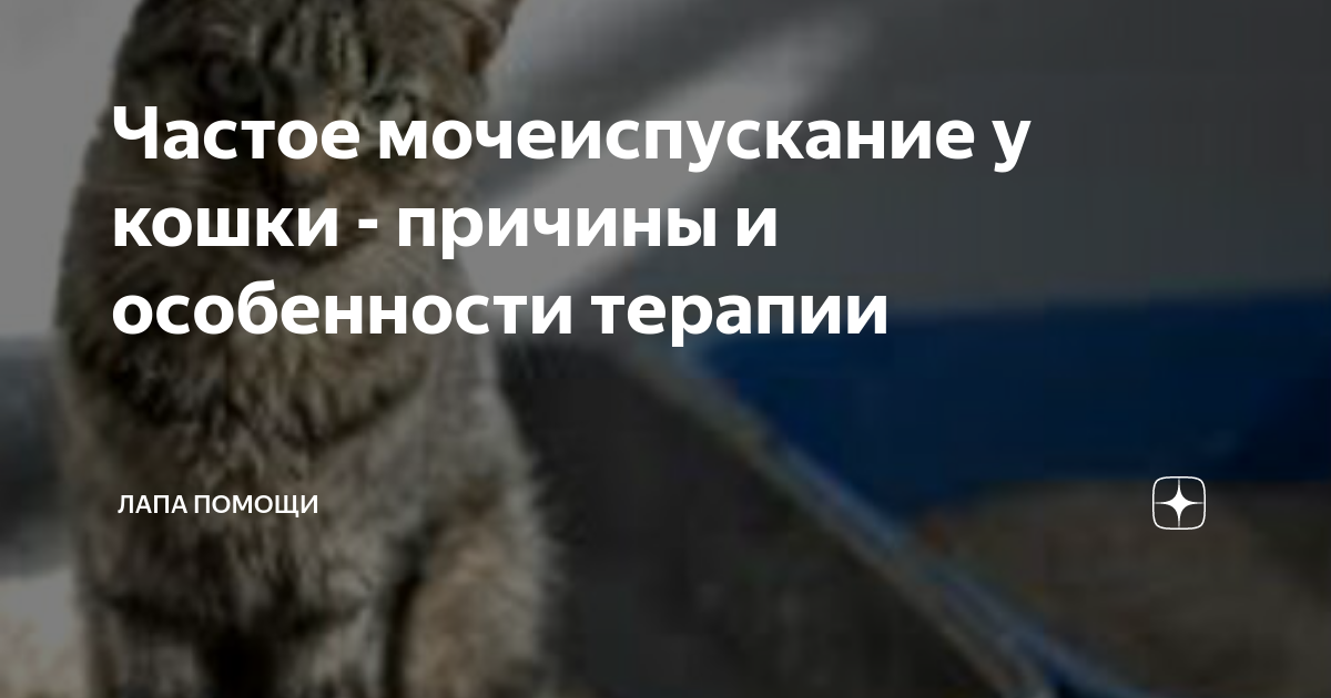 Инфекционные и воспалительные заболевания