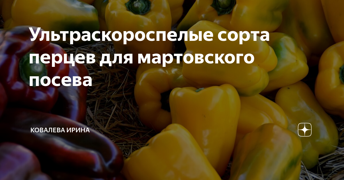 Ультраскороспелые сорта перца