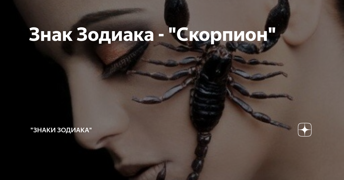 Скорпион женщина любовный. Жена Скорпион. Мужчина Скорпион. Скорпион мужчина и женщина. Взгляд скорпиона женщины.