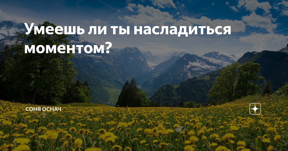 средняя стоимость кружки. стоимость строительства дорог в россии. запасы природных ресурсов россии. сколько будет стоить природном. сколько стоит чашка.