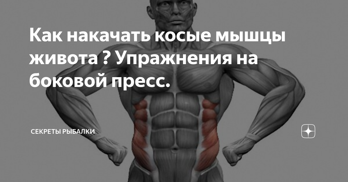 Боковой пресс — зачем он нужен и как его прокачать в домашних условиях