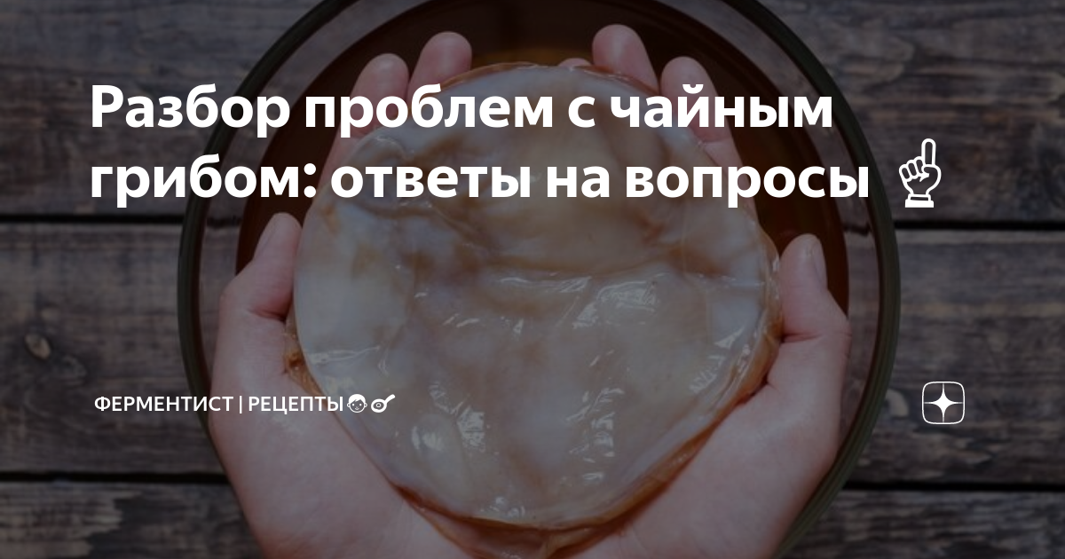 Разбор проблем с чайным грибом: ответы на вопросы ☝️ | ФЕРМЕНТИСТ ...