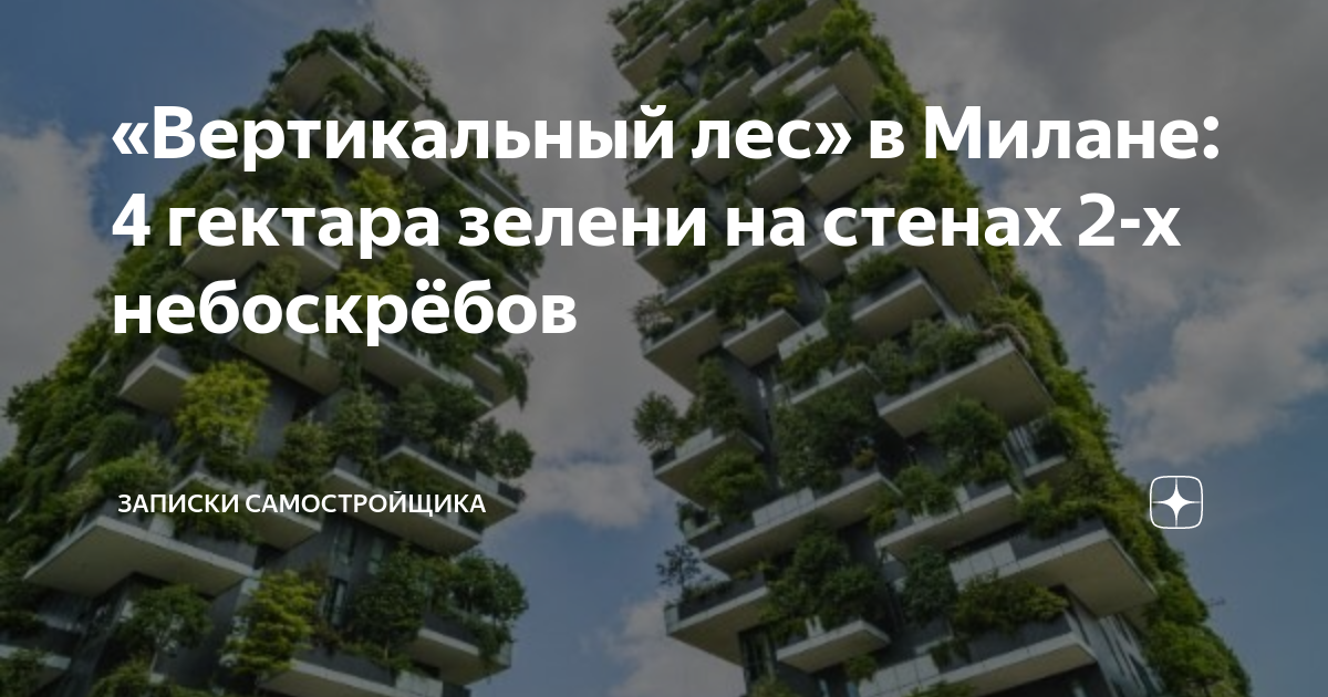 сфера в лесу москва