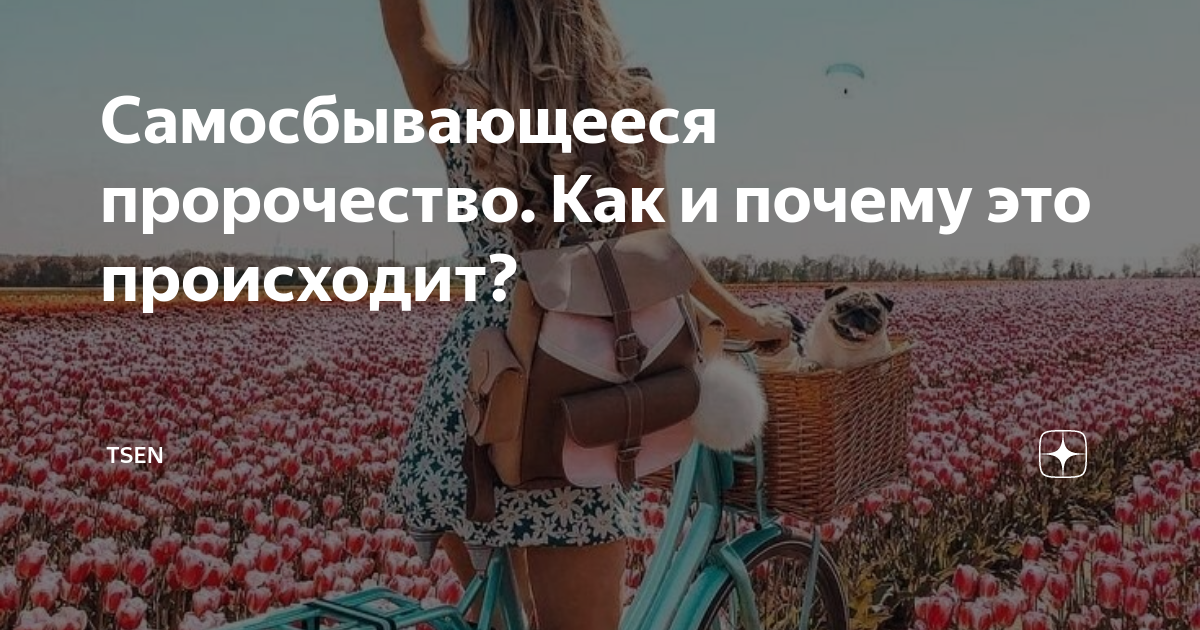 Самосбывающееся пророчество. Как и почему это происходит? | TSEN | Дзен
