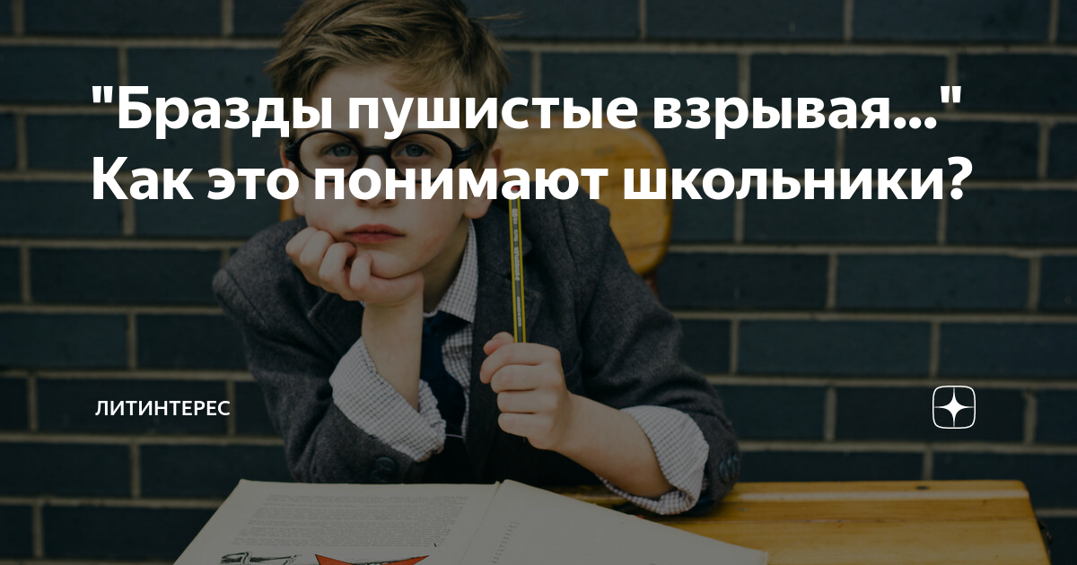 "Бразды пушистые взрывая..." Как это понимают школьники? | ЛИТИНТЕРЕС ...