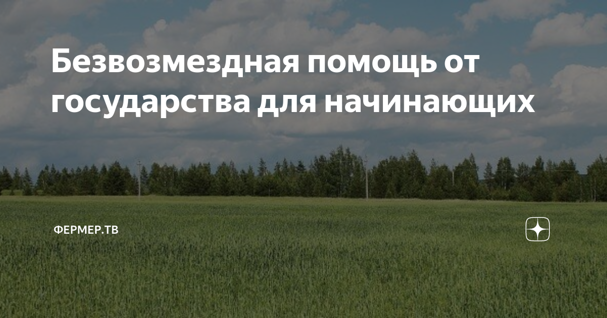 финансовая помощь безвозмездно. подарок безвозмездно бюджетной организации. помогу деньгами безвозмездно. помощь денежная безвозмездная. безвозмездная помощь отзывы.