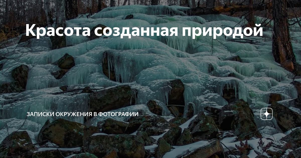 Созданная красота – огромный труд людей неравнодушных БАРНАУЛ :: Официальный сайт города