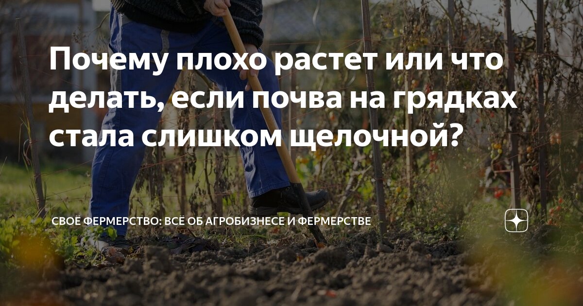 что делать чтоб плод не был крупным
