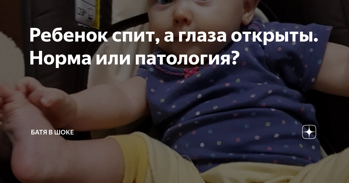 Батя в шоке дзен. Батя в шоке дзен