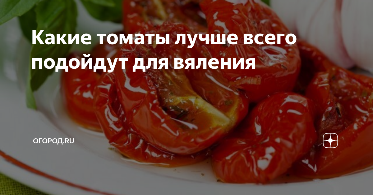 Какие томаты лучше всего подойдут для вяления | огород.ru | Дзен