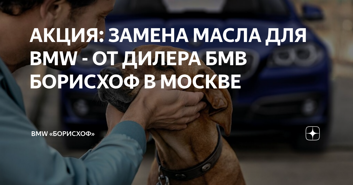 Акция бмв замена масла. Акция бмв замена масла