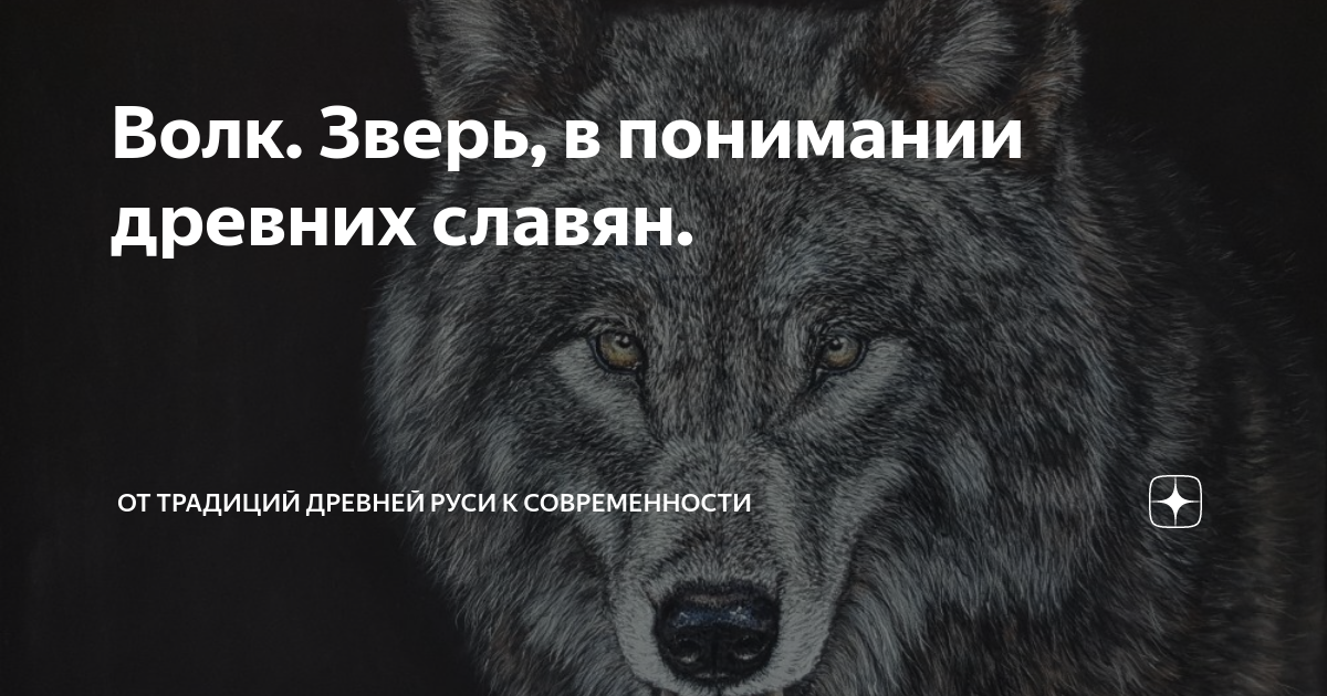 Волк как символ в культурах разных народов мира - полезные статьи от Типографии Вольф