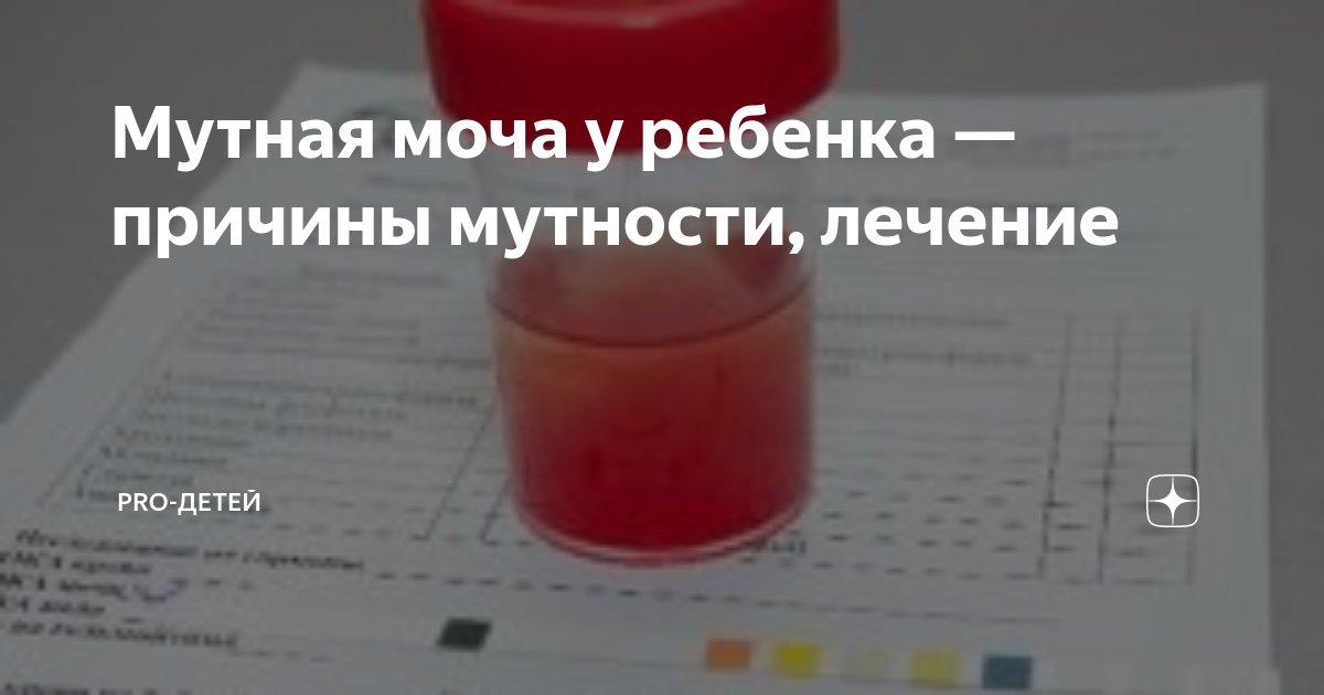 Мутная моча у мужчины причины лечение